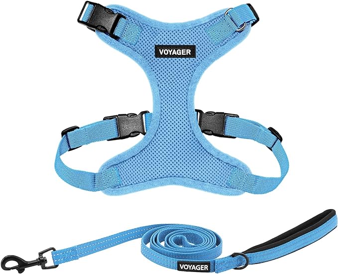 Voyager Step-in Lock Dog Harness w Reflective Dog Leash Combo Set with Neoprene Handle 5ft - Supports Small, Medium and Large Breed Puppies/Cats by Best Pet Supplies - Baby Blue, XL