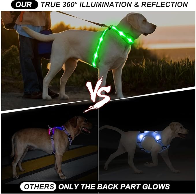 LED Light Up Dog Vest Harness Rechargeable, Soft Padded, Adjustable & Reflective Lighted Dog Harness Waterproof, Glow Dark Dog Light Harness for Camping Night Safety Walking, Medium Blue