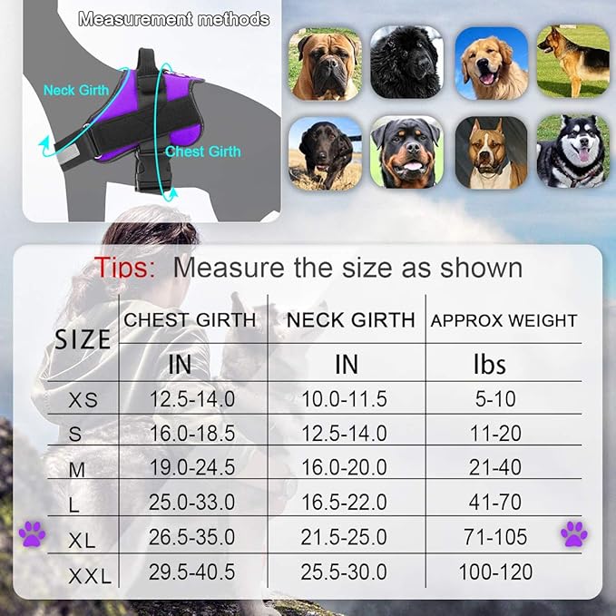 Bolux Dog Harness, No-Pull Reflective Dog Vest, Breathable Adjustable Pet Harness with Handle for Outdoor Walking - No More Pulling, Tugging or Choking (Purple, XL)