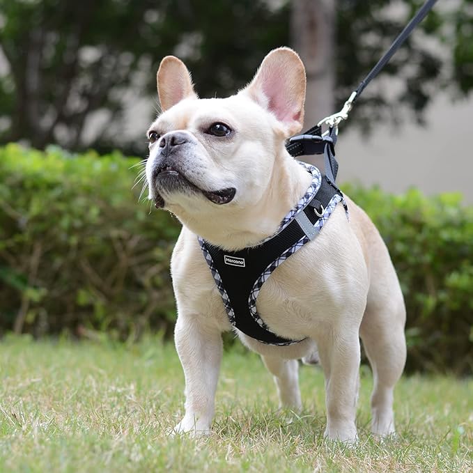 Mercano Soft Mesh Dog Harness and Leash Set, No-Chock Step-in Reflective Breathable Lightweight Easy Walk Escape Proof Vest Harnesses with Safety Buckle for Small Medium Dogs, Cats (Black White, XS)