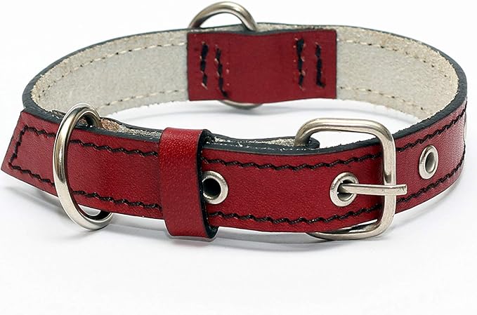 Premium Leather Collars with Stainless Steel Buckles (12"-15", Red)