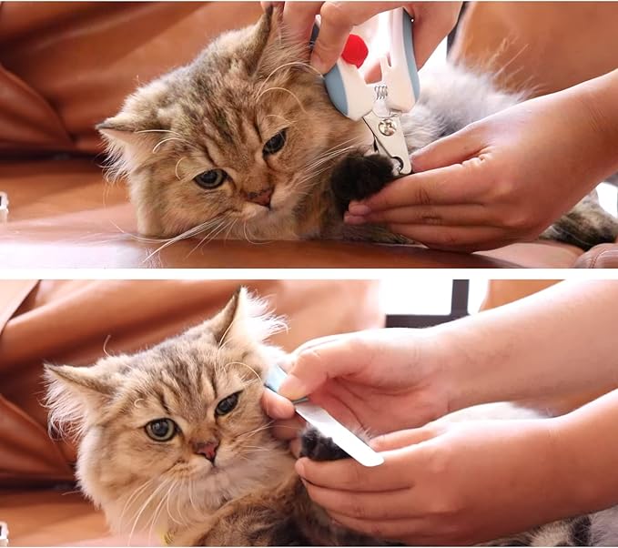 Dog & Cat Pets Nail Clippers Trimmers, Free Nail File and Professional Spare Grinding Head for Dog Electric Claw Nail Grooming Tool (10PCS)