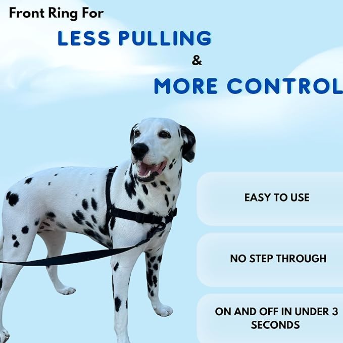 ShawnCo Dream Walk No-Pull Dog Harness- Adjustable, Comfortable, Easy to Use Pet Halter to Help Stop Pulling for Small, Medium and Large Dogs (Pacific Blue, S)