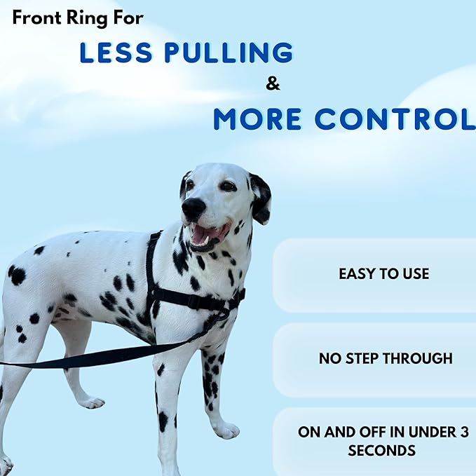 ShawnCo Dream Walk No-Pull Dog Harness- Adjustable, Comfortable, Easy to Use Pet Halter to Help Stop Pulling for Small, Medium and Large Dogs (Sunset Orange, S)