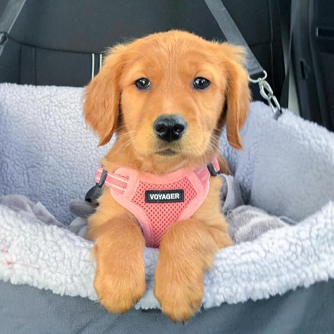 Best Pet Supplies Voyager Adjustable Dog Vest Harness Breathable No Pull Harness for Small, Medium, Large Dogs, Heavy Duty Harness for Walking, Jogging, Easy Step-in, Reflective Stripes - (Pink), XS