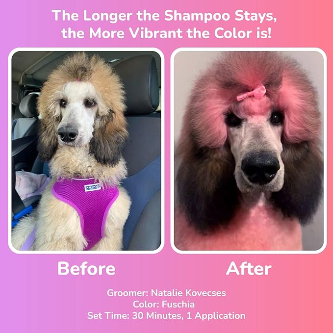 OPAWZ Color Depositing Shampoo for Dogs, Semi-Permanent Dog Hair Dye Coloring Safe Shampoo, Non-Toxic Colorwash Shampoo for Pets (Purple, 16.94 fl.oz / 500mL)