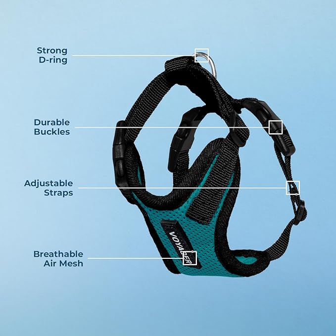 Voyager Step-in Lock Pet Harness - All Weather Mesh, Adjustable Step in Harness for Cats and Dogs by Best Pet Supplies - Turquoise/Black Trim, L