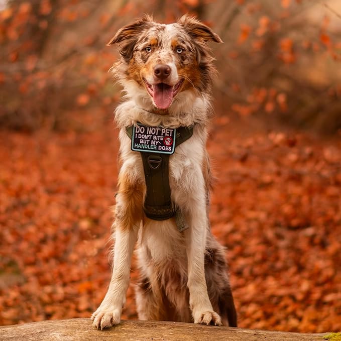 rabbitgoo Dog Harness Medium Sized No Pull, Tactical Service Dog Vest with Molle and Control Handle, Adjustable and Reflective Military Pet Harness for Easy Walking and Training, Grey, M