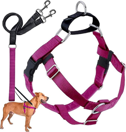 2 Hounds Design Freedom No Pull Dog Harness | Comfortable Control for Easy Walking |Adjustable Dog Harness and Leash Set | Small, Medium & Large Dogs | Made in USA | Solid Colors | 1" XL Raspberry