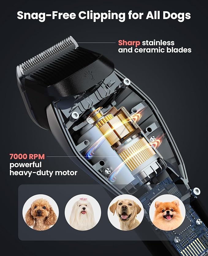 DOG CARE Dog Grooming Kit Clippers Professional Dog Shaver Clippers, Rechargeable Pet Hair Thick Coats Clippers Trimmers Set for Dog Cat with 3 Speeds | Auxiliary Light | Electric Quiet