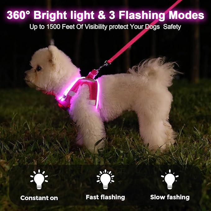 Light Up Dog Harness,LED Dog Harness Rechargeable, Lighted Dog Vest Harness for Night Walking,Reflective Safety Vest for Small Medium Large Dogs,Adjustable Soft Mesh,Pink,S