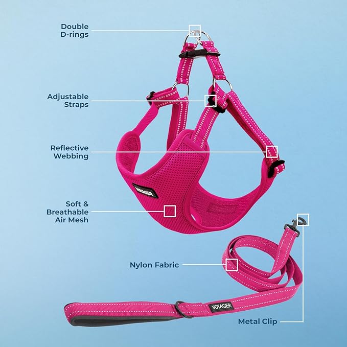 Best Pet Supplies Voyager Adjustable Dog Harness Leash Set with Reflective Stripes for Walking Heavy-Duty Full Body No Pull Vest with Leash D-Ring, Breathable All-Weather - Harness (Fuchsia), S
