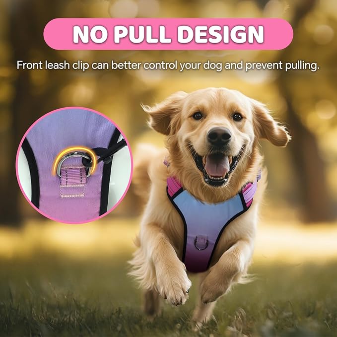 QQPETS No Pull Dog Harness with 2 Leash Clips，Adjustable Soft Padded Dog Vest, Reflective Outdoor Pet Oxford Vest with Easy Control Handle for Small to Large Dogs Walking Training