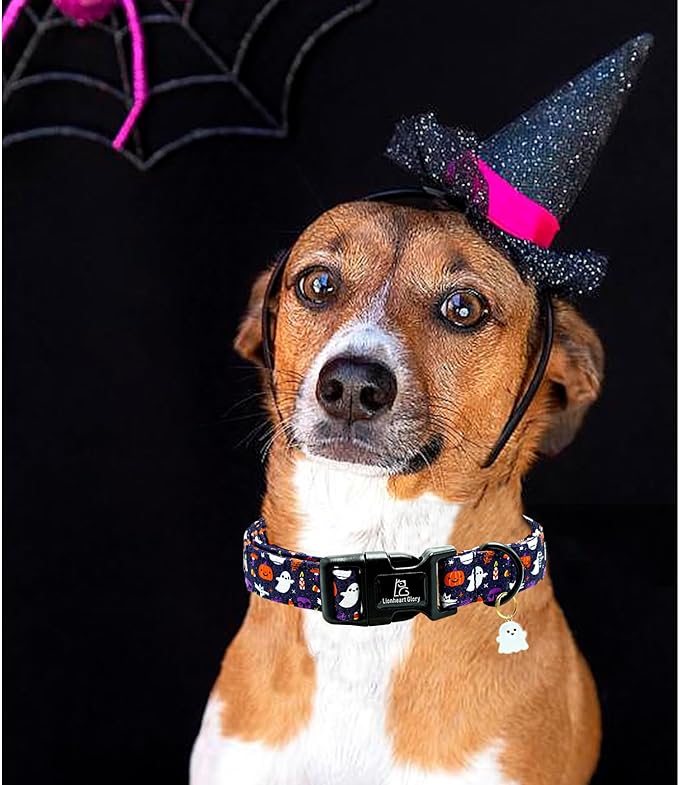Lionheart glory Dog Collars Fall Halloween Pumpkin Collar Dog Heavy Comfortable Adjustable Dog Collar for X-Small Puppy Collar Dogs Girls Boys Dog Collar Party Pet Gift