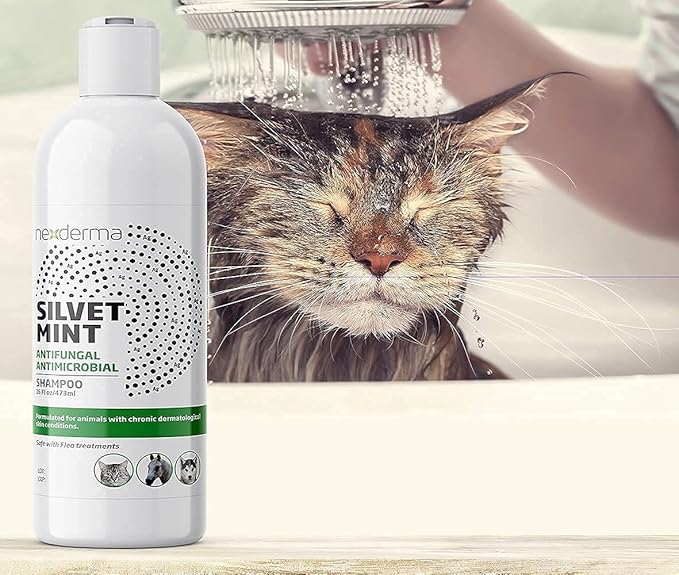 Natural Colloidal Medicated Pet Shampoo for Dogs and Cats - Tearless Hypoallergenic, Soap Free with Coconut Oil and Mint, Relief for Allergies, Odor, Itchy, Dry, Irritated Skin - 16oz, 1Pack