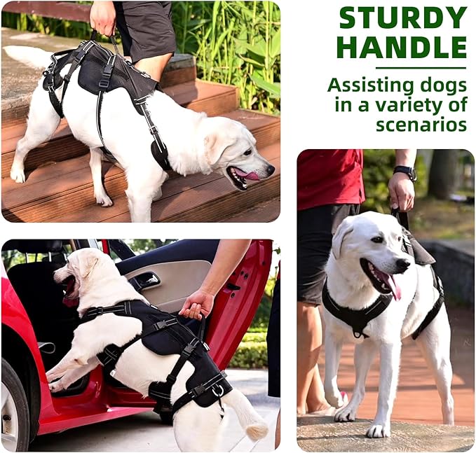 PUPTECK Dog Lift Harness for Medium Large Sized Dog, Rehabilitation Sling for Hind Leg Support, Multifunctional Mobility Assistance Harness for Old, Disabled, Joint Injuries, Arthritis, Paralysis Dogs