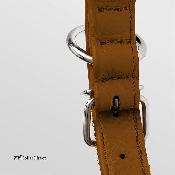 CollarDirect Rolled Leather Dog Collar, Soft Padded Round Puppy Collar, Handmade Genuine Leather Collar Dog Small Large Cat Collars 13 Colors (18-22 Inch, Cinnamon Textured)