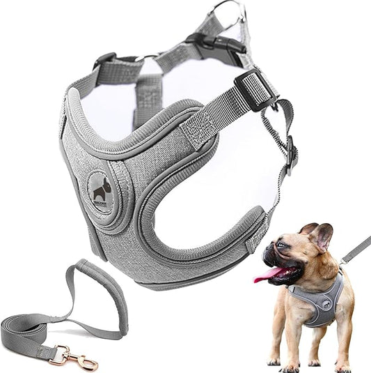 Dog Harness with Leash Set, No Pull Reflective Strips Adjustable Step in Dog Collars Harness with Breathable Padded Vest Harness for Small Large Dogs Training and Running (S, Gray)