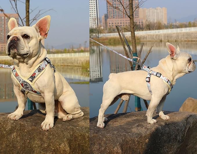 PT-010 Pet Dog Puppy No-Pull Harness Walking Training Harness with Leash Reflective Vest (Beige, Small)