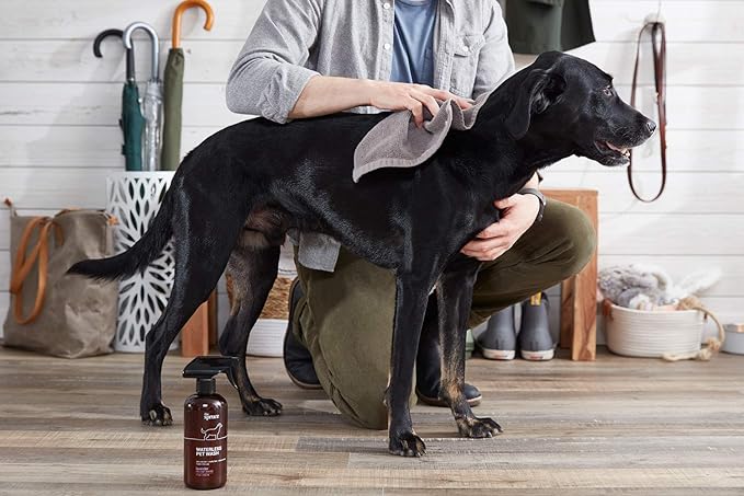 The Spruce Waterless Pet Wash, No Rinse Moisturizing Shampoo for Pets - Daily Pet Care - Cleaning, Cleansing, and Conditioning for Dogs, Puppies, and Cats - Fresh, 17oz, 2 Pack