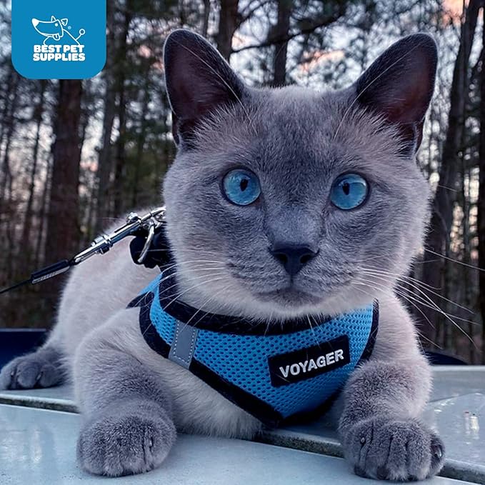 Voyager Step-in Air Dog Harness - All Weather Mesh, Reflective, No Pull Harness for Small, Medium Dogs, Cats - Secure with Hook & Loop Fastener, Buckle, Double D-Rings - Baby Blue/Black Trim, XL