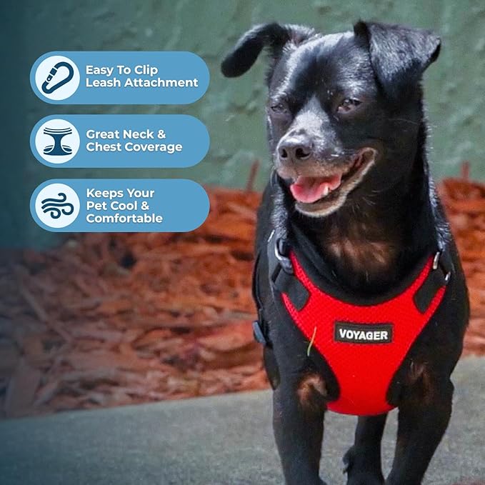 Voyager Step-in Lock Pet Harness - All Weather Mesh, Adjustable Step in Harness for Cats and Dogs by Best Pet Supplies - Red/Black Trim, L