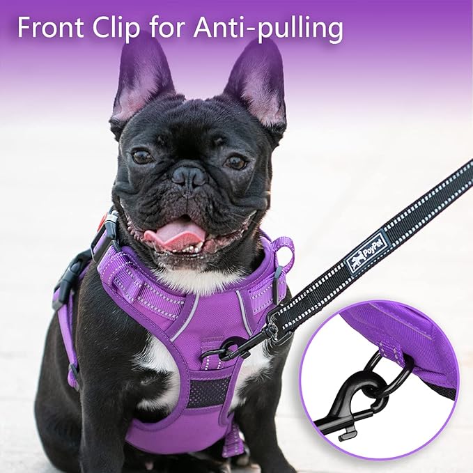 PoyPet No Pull Dog Harness, No Choke Reflective Dog Vest, Adjustable Pet Harnesses with Easy Control Padded Handle for Small Medium Large Dogs(Purple Matching Trim,XS)
