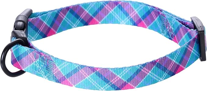 Mile High Life Dog Collar | Cute Puppy Collars | Lightweight Girl Dog Collar | Soft Boy Dog Collars | w Geometric Ocean Wavy Pattern (Green/Red, Small)