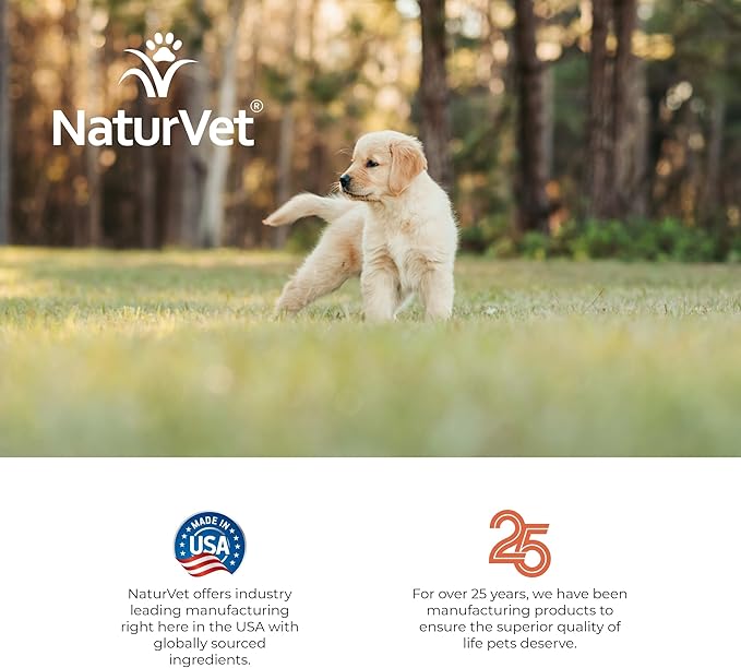NaturVet – Potty Here Training Aid Spray | Attractive Scent Helps Train Puppies & Dogs Where to Potty | Formulated for Indoor & Outdoor Use | 8 oz