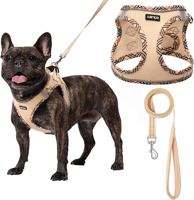 AMTOR Small Dog Harness with Leash Set, No Escape Easy Walk Puppy Harnesses for Training Walking, Step-in Reflective Soft Dogs Vest for XS S Medium Extra-Small Large Sized Dog(Beige,L)