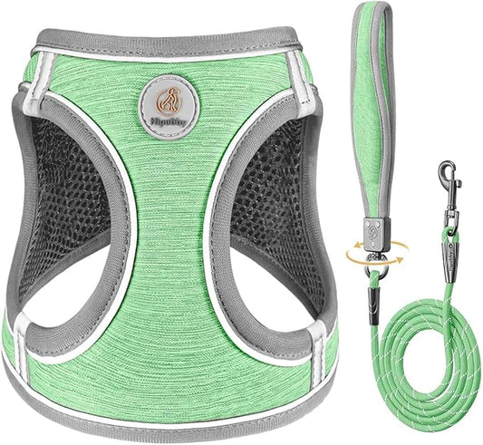 Dog Harness with Leash Set, Adjustable Soft Mesh Padded Reflective Dog Harnesse, Dog Leash with Soft Padded Handle, Puppy Harness and Leash Set for Walking,Training - Green, XS