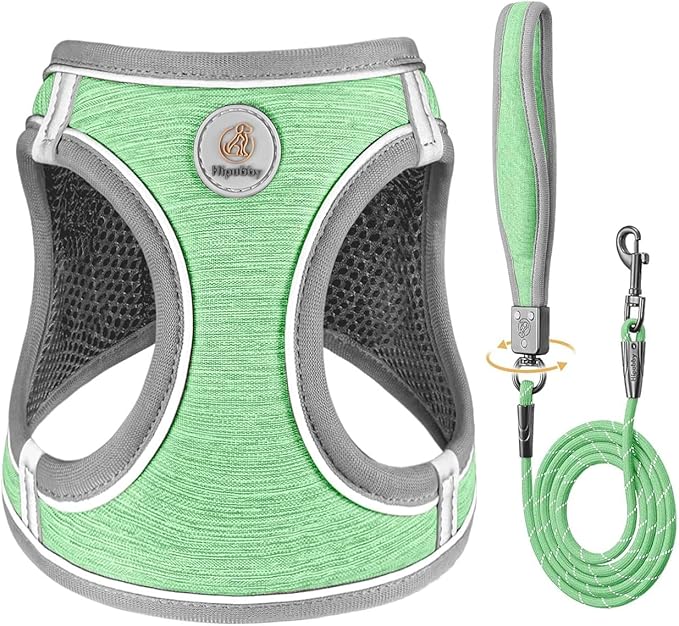 Dog Harness with Leash Set, Adjustable Soft Mesh Padded Reflective Dog Harnesse, Dog Leash with Soft Padded Handle, Puppy Harness and Leash Set for Walking,Training - Green, XXS