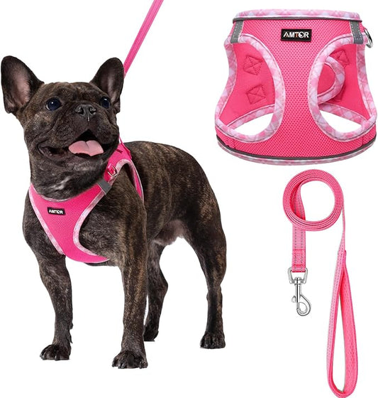 AMTOR Small Dog Harness with Leash Set, No Escape Easy Walk Puppy Harnesses for Training Walking, Step-in Reflective Soft Dogs Vest for XS S Medium Extra-Small Large Sized Dog(Fuchsia,M)