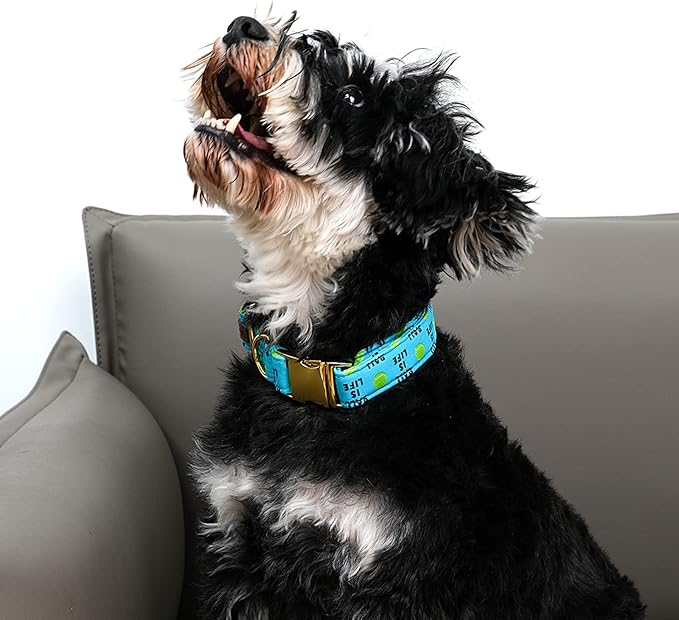 Lionet Paws Dog Collar, Comfortable Adjustable Cute Collar with Metal Buckle for Male Female Puppies and Cats Gift, Tennis Ball Pattern, XS, Neck 8-12 inches