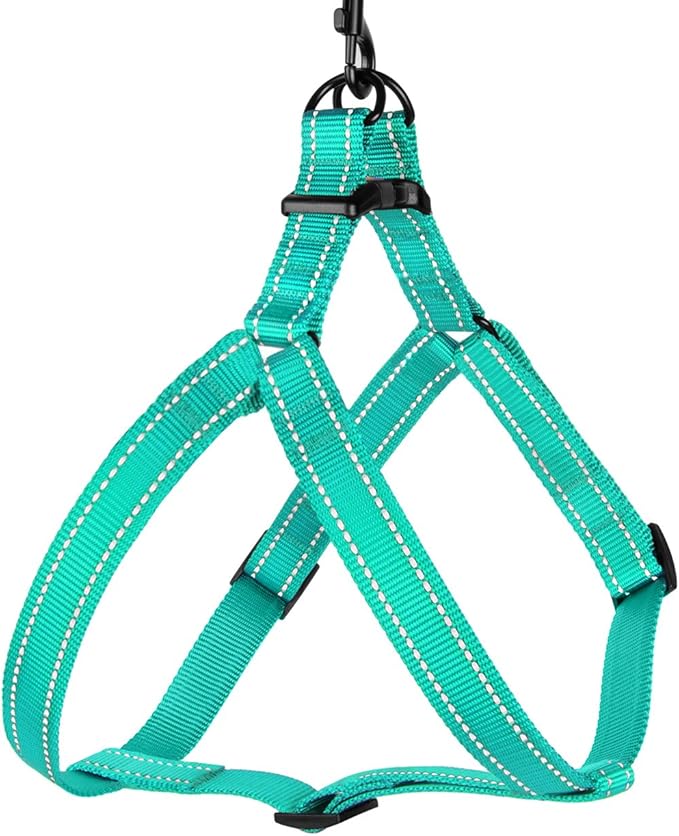 CollarDirect Reflective Dog Harness Step in Small Medium Large for Outdoor Walking, Comfort Adjustable Harnesses for Dogs Puppy Pink Black Red Purple Mint Green Orange Blue (Small, Mint Green)