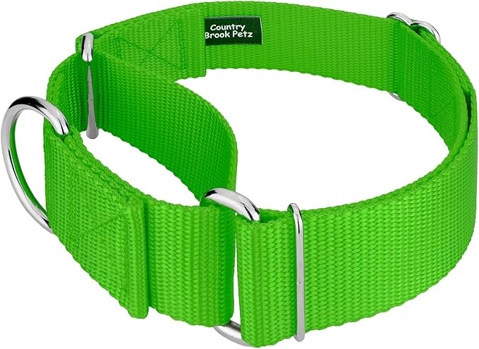 Country Brook Petz 1 1/2 Inch Martingale Heavy Duty Nylon Adjustable Dog Collar for Small, Medium, Large Breeds - Vibrant 17 Color Selection (Hot Lime Green, Large)