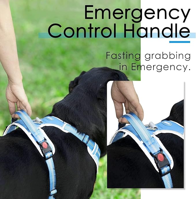 ThinkPet No Pull Harness Breathable Sport Vest with Handle-Dog Harnesses Reflective Adjustable for Medium Large Dogs