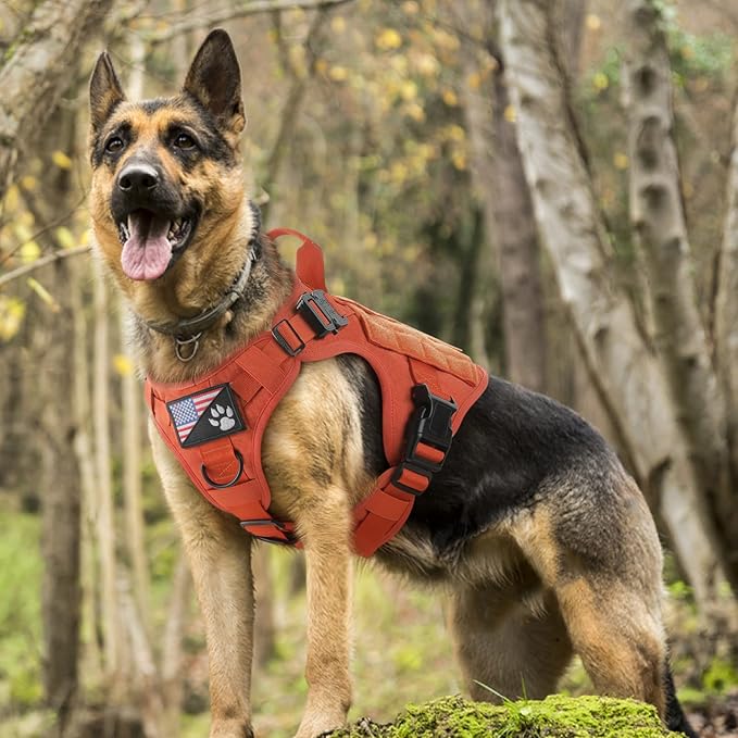 rabbitgoo Tactical Dog Harness for Large Dogs, Heavy Duty Dog Harness with Handle, No-Pull Service Dog Vest Large Breed, Adjustable Military Dog Vest Harness for Training Hunting Walking, Orange, L