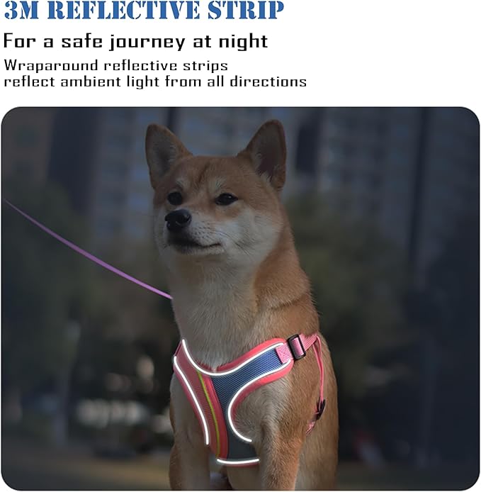 No Pull Dog Harness with Leash Set All Weather Soft Padded Mesh Reflective X Shape Adjustable Step in Vest Harness for Small and Medium Dogs Big Cat M Pink