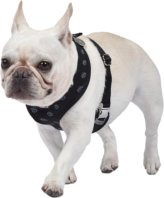 Now House for Pets by Jonathan Adler Pets Reversible Harness - Stylish, Fashionable, and Functional - Cute Dog Accessories for Pets, Cute Dog Harness, Dog Walking Harness, Pet Harness for Dogs