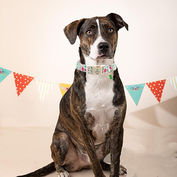 Lionheart glory Dog Collar, Dinosaurs Print Dogs Collar Adjustable Soft Comfortable Collars for Small Dogs Girl or Boy Pet Gift Cute Spring Summer Collar