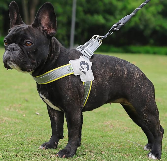 Dog Harness Y-Shaped Harness Breathable Heat Dissipation Easy to Wear Night Reflective Signs for Small and Large Dogs to Wear (Yellow,S Bust 13in-18in)