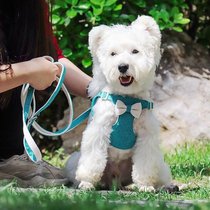 Beirui Small Dog Harness and Leash Set, Soft Lightweight Puppy Harness, Adjustable Bow Tie Puppy Harness for Small Dogs (Blue, S)