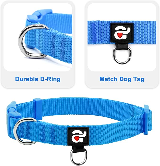 azuza 3 Pack Dog Collars Comfortable and Adjustable Nylon Dog Collars for Puppy Small Dogs, XS (8-12inch)，Green, Blue and Royal Blue