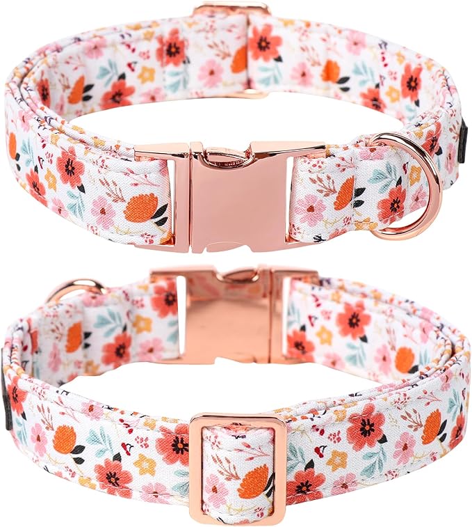 Lionet Paws Dog Collar, Adjustable Cute Collar with Metal Buckle for Male Female Puppies Gift,Summer Flower, XS, Neck 8-12 inches
