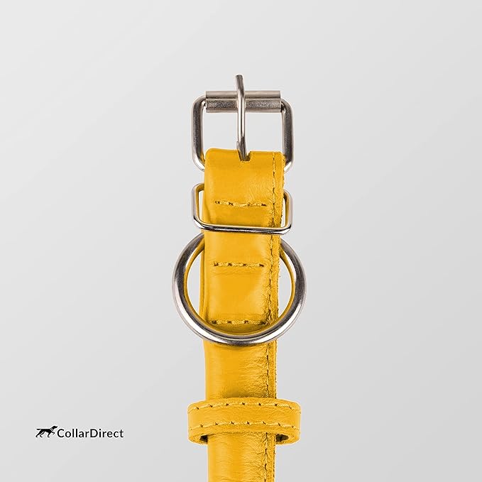 CollarDirect Rolled Leather Dog Collar, Soft Padded Round Puppy Collar, Handmade Genuine Leather Collar Dog Small Large Cat Collars 13 Colors (15-19 Inch, Yellow Textured)