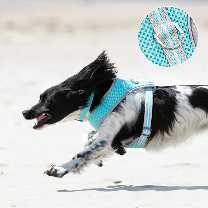 HUGO & HUDSON Dog Harness No-Pull Pet Harness Adjustable Quick Dry Mesh Padded Vest, Aqua, L