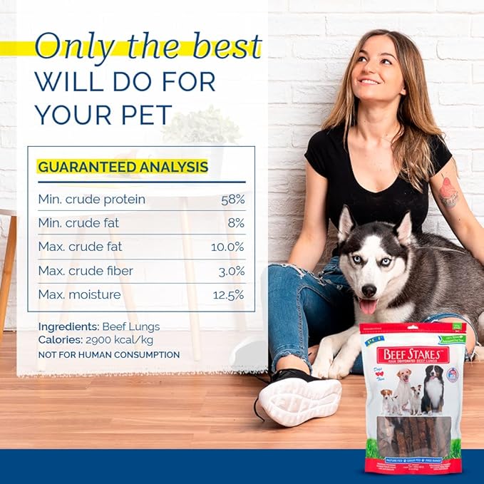 Pet Center, Inc. Center (PCI) - Beef Stakes 100% Natural Dog Treat 1lb. Bag