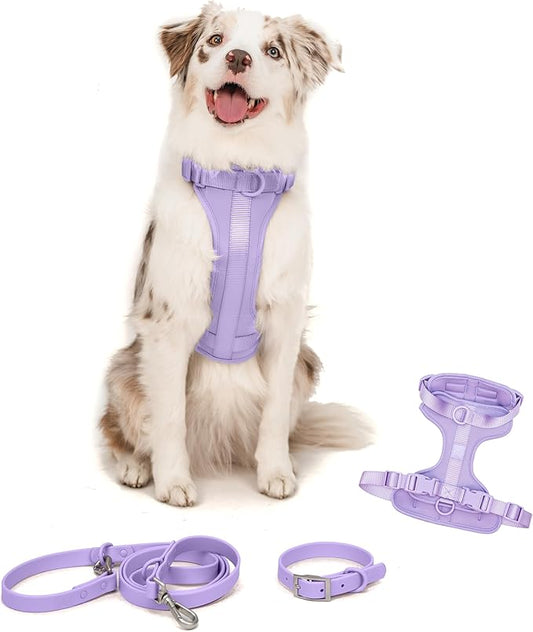 Dog Harness and Leash Set | BearBone No Pull Dog Harness and Waterproof Dog Collar and Leash Set | Heavy Duty Dog Harness, Leash and Collar | Small Dog Harness and Leash Set (Lilac, Small)