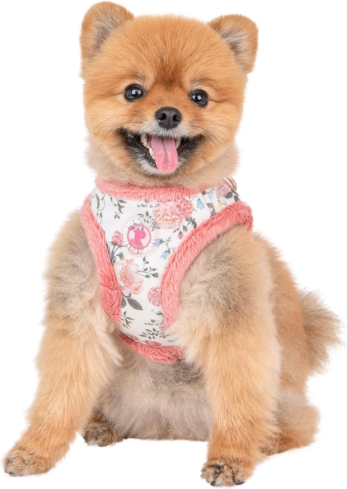 Calla Vest Harness - Ivory - S